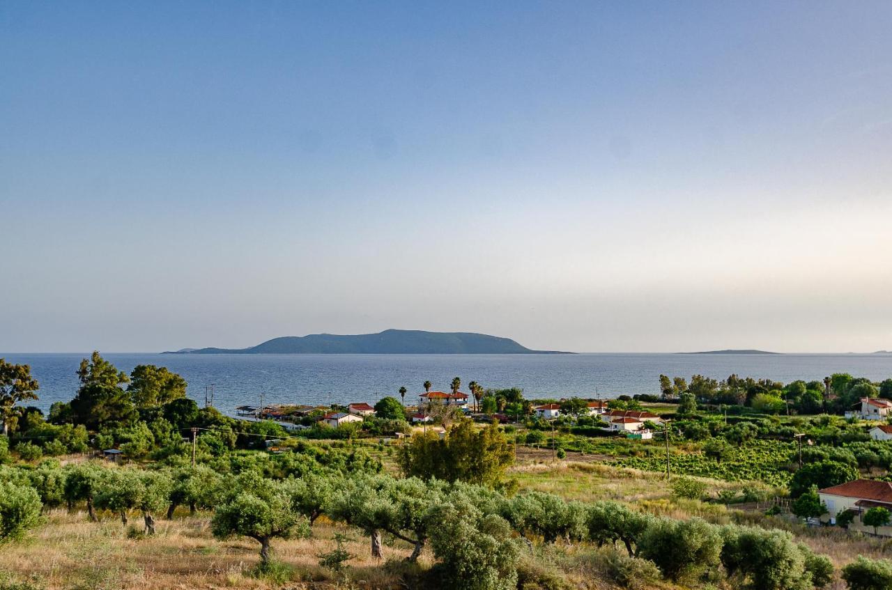 Salandore Blue Finikounta Bagian luar foto